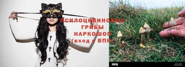 не бодяженный Алзамай