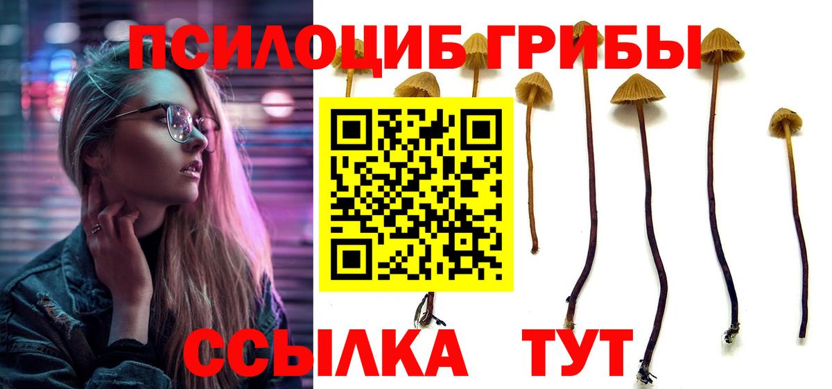 Псилоцибиновые грибы MAGIC MUSHROOMS Морозовск
